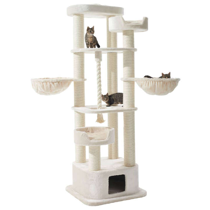 Nobby Kratzbaum MUSAN